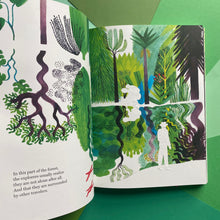 Load image into Gallery viewer, The Forest