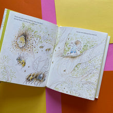 Load image into Gallery viewer, Bertolt