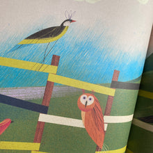 Load image into Gallery viewer, True Colors