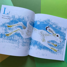 Load image into Gallery viewer, Near The Bear North