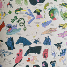 Load image into Gallery viewer, Day & Night: Rainforest