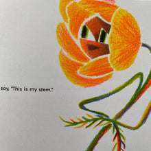Load image into Gallery viewer, Have You Ever Seen A Flower?
