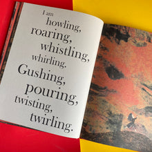 Load image into Gallery viewer, When I See Red