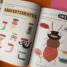 Load image into Gallery viewer, The Bug Club