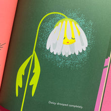 Load image into Gallery viewer, Wildflower