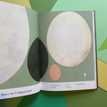 Load image into Gallery viewer, The Egg