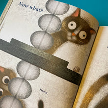 Load image into Gallery viewer, Cat Problems