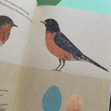 Load image into Gallery viewer, The Egg