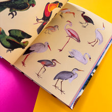 Load image into Gallery viewer, Extraordinary Things Sticker Book
