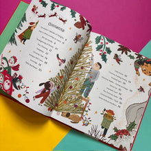 Load image into Gallery viewer, A Christmas Full of Poetry : A poem for every day of December
