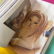 Load image into Gallery viewer, Cat.
