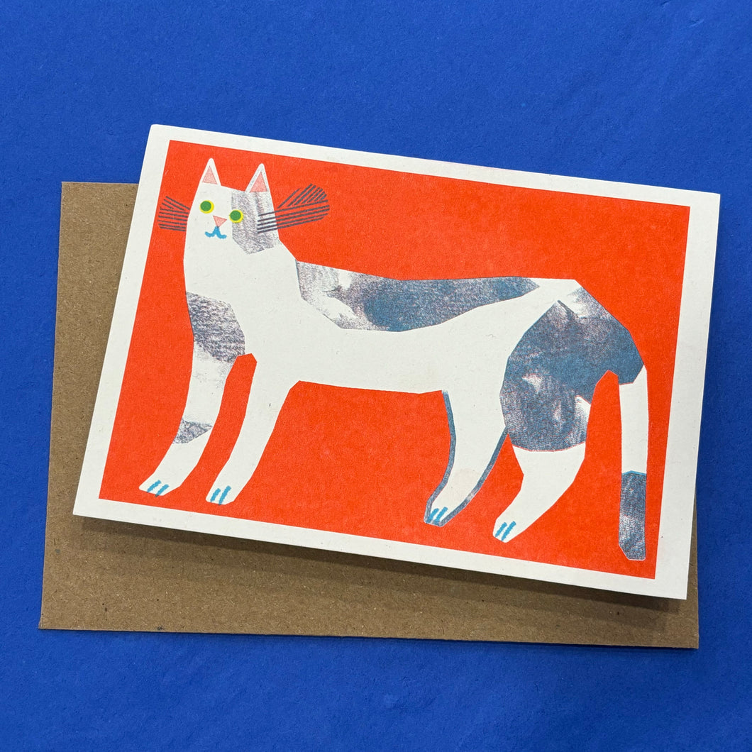 Cat Card