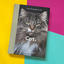 Load image into Gallery viewer, Cat.
