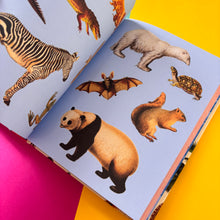 Load image into Gallery viewer, Extraordinary Things Sticker Book
