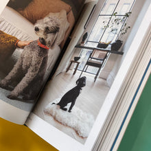 Load image into Gallery viewer, Dog.
