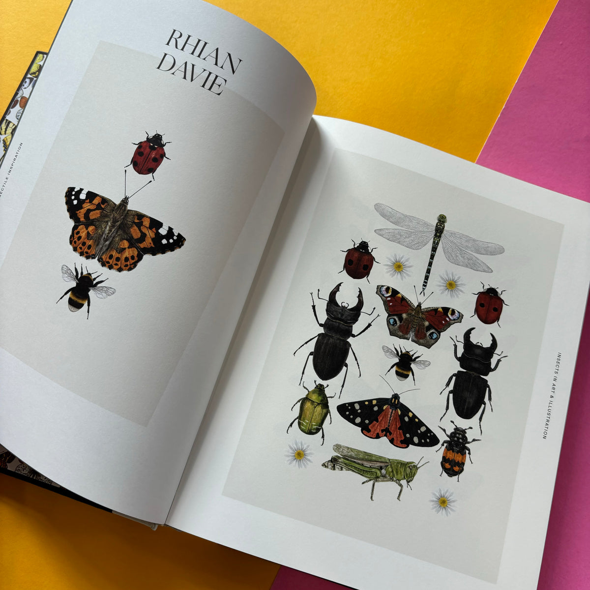 Insectile Inspiration: Insects in Art and Illustration – SHELF EDITIONS