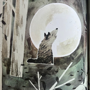 The Wolf, The Duck & The Mouse