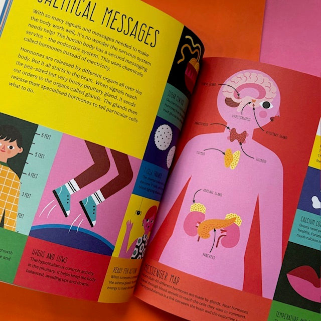 How To Make A Human – SHELF EDITIONS