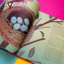 Load image into Gallery viewer, The Secret World of Bird Nests
