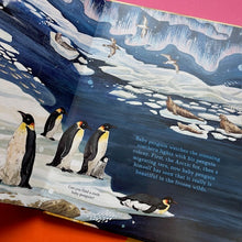 Load image into Gallery viewer, Hide and Find in the Frozen Wilds
