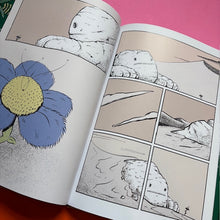 Load image into Gallery viewer, When The Mountain Wakes
