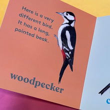 Load image into Gallery viewer, Look! A Bird!
