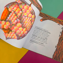 Load image into Gallery viewer, Seven Curious Ants
