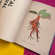Load image into Gallery viewer, An Illustrated History Of Magic
