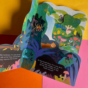 Animal Homes: Rainforest