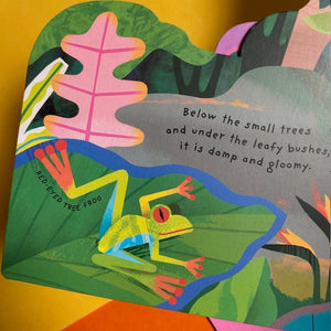 Animal Homes: Rainforest