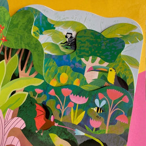 Animal Homes: Rainforest