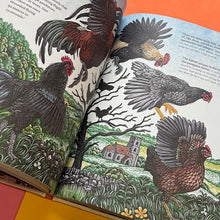 Load image into Gallery viewer, Cluck! The Eggstraordinary Story of Chickens
