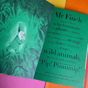 The Flight Of Mr Finch