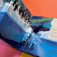 Load image into Gallery viewer, Nature Pop-Ups: World Of Birds
