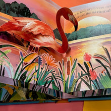 Load image into Gallery viewer, Nature Pop-Ups: World Of Birds
