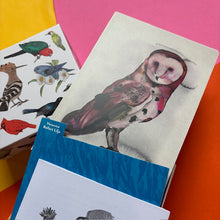 Load image into Gallery viewer, Bird Box: 100 Postcards by 10 Artists

