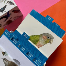 Load image into Gallery viewer, Bird Box: 100 Postcards by 10 Artists
