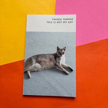 Load image into Gallery viewer, This Is Not My Cat
