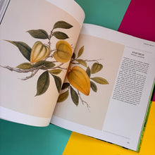 Load image into Gallery viewer, Botanica Fantastica : The illustrated guide to fantastical plants from fictional worlds
