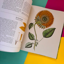 Load image into Gallery viewer, Botanica Fantastica : The illustrated guide to fantastical plants from fictional worlds
