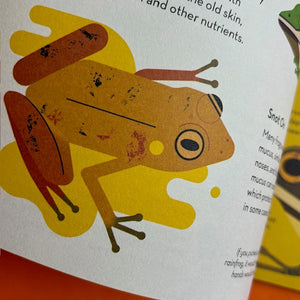 Fanatical About Frogs