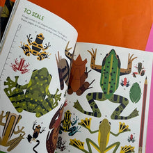 Load image into Gallery viewer, Fanatical About Frogs
