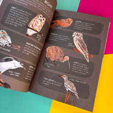 Load image into Gallery viewer, Bird Anatomy : The Curious Lives of the World's Feathered Creatures

