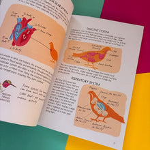 Load image into Gallery viewer, Bird Anatomy : The Curious Lives of the World's Feathered Creatures
