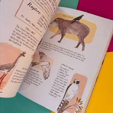 Load image into Gallery viewer, Bird Anatomy : The Curious Lives of the World's Feathered Creatures

