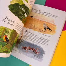 Load image into Gallery viewer, Bird Anatomy : The Curious Lives of the World's Feathered Creatures
