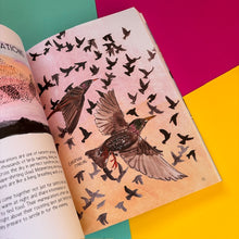 Load image into Gallery viewer, Bird Anatomy : The Curious Lives of the World's Feathered Creatures
