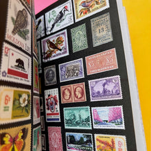 Load image into Gallery viewer, The Curious Collections Sticker Book
