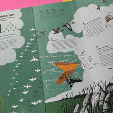 Load image into Gallery viewer, Nature's Dance: The Captivating Choreography of Birds, Fish &amp; Insects
