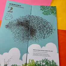 Load image into Gallery viewer, Nature's Dance: The Captivating Choreography of Birds, Fish &amp; Insects
